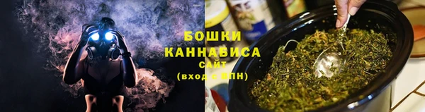 прущие крисы Абаза