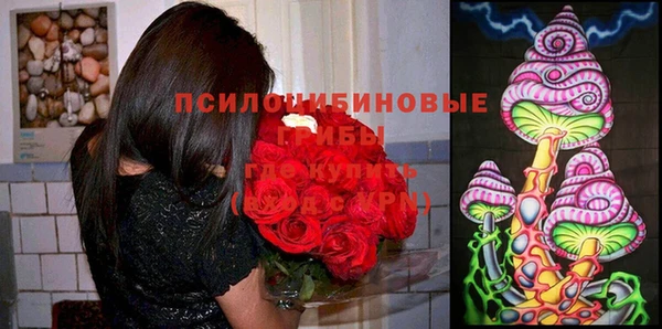 прущие крисы Абаза