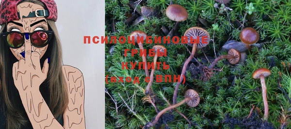 а пвп мука Пересвет