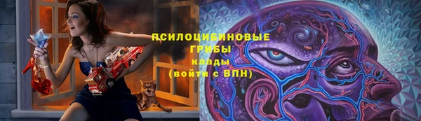 прущие крисы Абаза
