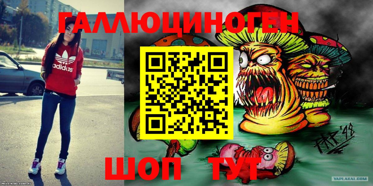 Псилоцибиновые грибы Psilocybine cubensis Альметьевск